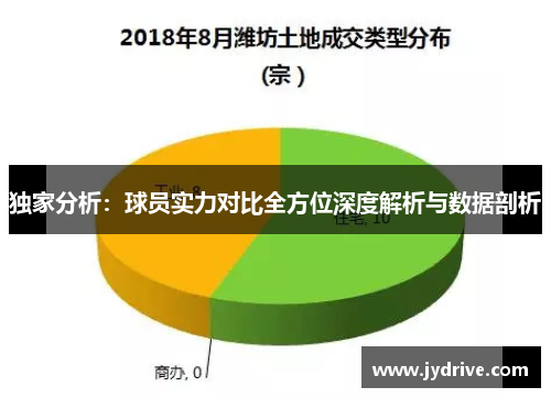 独家分析：球员实力对比全方位深度解析与数据剖析