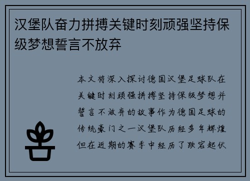 汉堡队奋力拼搏关键时刻顽强坚持保级梦想誓言不放弃